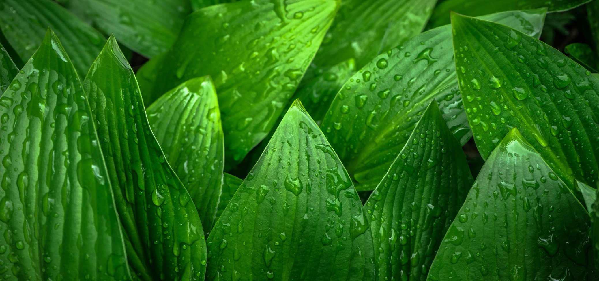 Ich arbeite mit der Natur und nicht dagegen!