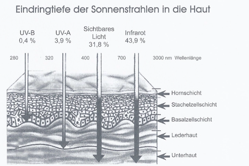 Eindringtiefe der Sonnenstrahlen in die Haut