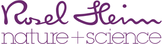 Bereits 1935 brachte Rosel Heim ihre erste Naturkosmetiklinie auf den Markt. Die Qualität und Zuverlässigkeit ihrer Produkte überzeugen und begeistern seither Millionen Menschen in aller Welt!